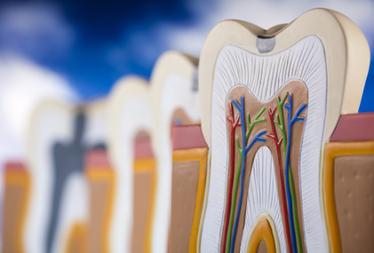 dental root canals whitby